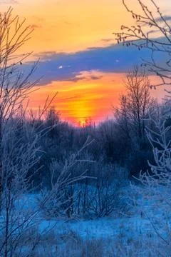 Sunset over the forest 스톡 사진