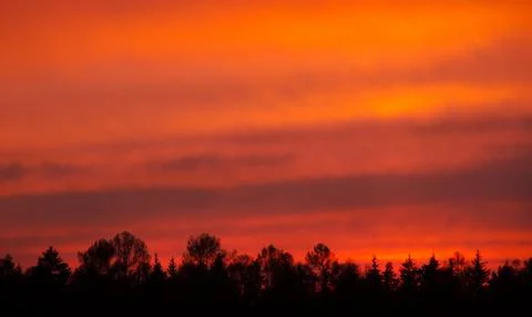 Sunset over the forest Stock Photos