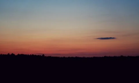 Sunset over the forest Stock Photos