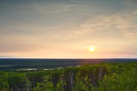 Sunset over a forest Stock Photos