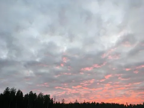 Sunset over the forest Stock Photos