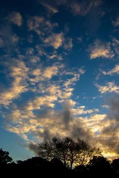 Sunset over the forest Stock Photos