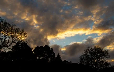 Sunset over the forest Stock Photos