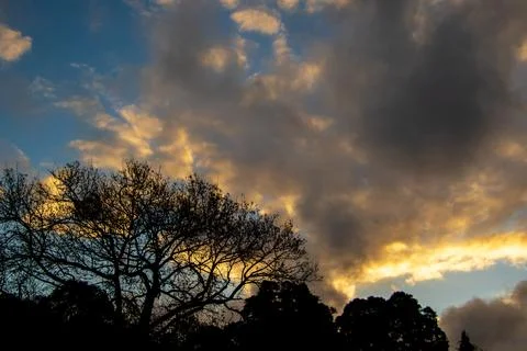 Sunset over the forest Stock Photos