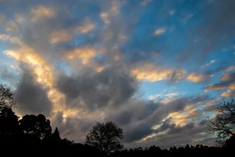 Sunset over the forest Stock Photos