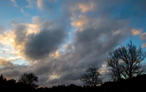 Sunset over the forest Stock Photos