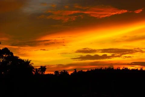 Sunset over the forest Stock Photos