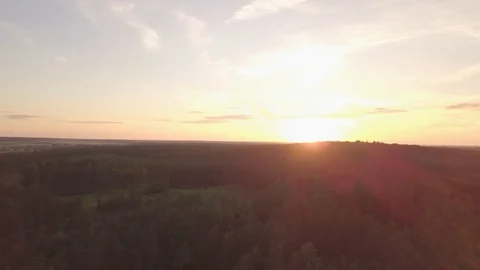 Sunset over forest in poland - aerial, drone footage. Vídeos de archivo 91789512