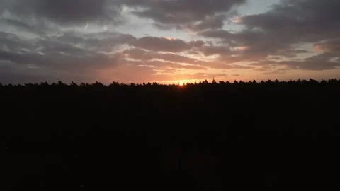 Sunset over the forest reveal Stock Footage 297573741