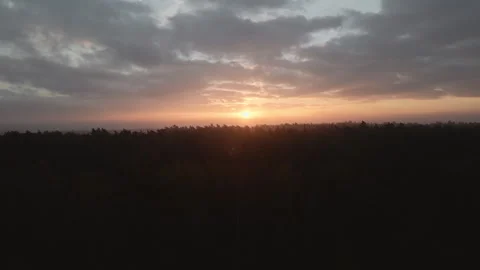 Sunset over the forest reveal Stock Footage 297574056