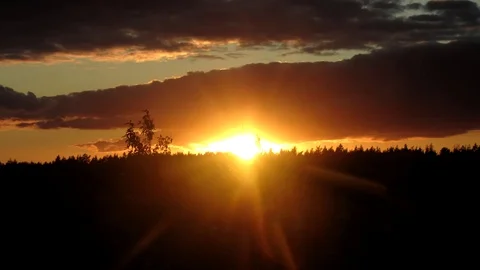 Sunset over the forest, time-lapse Video stock 70691230