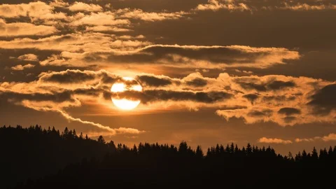 Sunset over forest Time lapse Stock-Footage 91166494