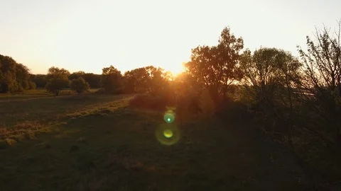 Sunset over the forest top view Stock Footage 75455690