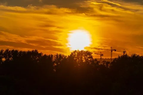 Sunset over the forest. Tower cranes in the background. Stock Photos