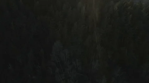 Sunset over the forest(DLog Ungraded) Vídeo Stock 106559065