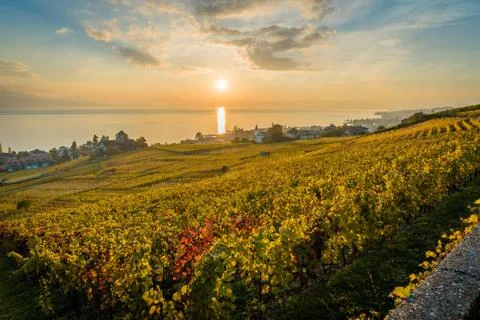 Sunset over Geneva lake Foto stock