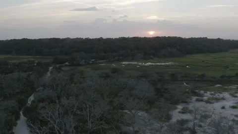 Sunset Over Georgia Marsh Video stock 148594588
