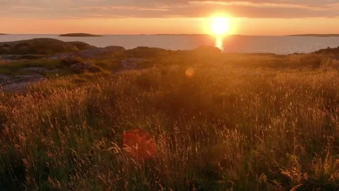 Sunset over grass and sea in sweden highlights nature’s beauty Stock Footage 314726448