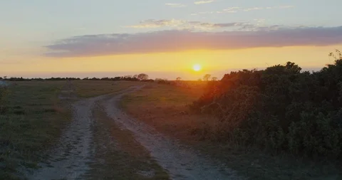 Sunset over grass field Stock Footage 108568816