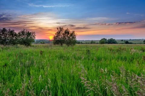 Sunset over grassland Stock Photos