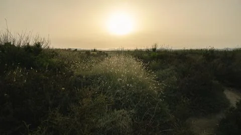 Sunset Over Grassland Stock Photos