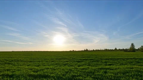 Sunset over the green field. blue clouds over the field Stock Footage 198730432