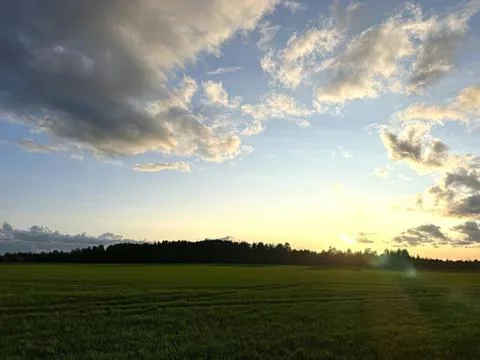 Sunset over green field with clouds in a clear sky Fotos Stock