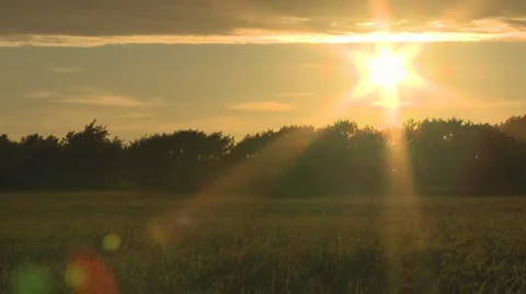 Sunset over green field Vídeo Stock 3565137