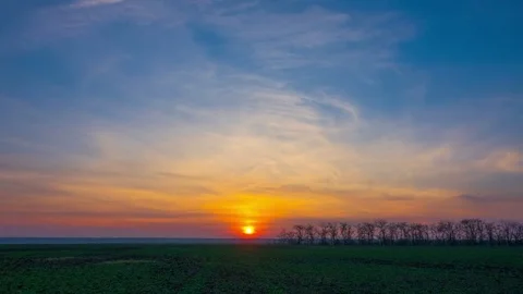 Sunset over the Green Field. Stock Footage 73844247