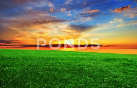 Sunset over the green field Stock Photos