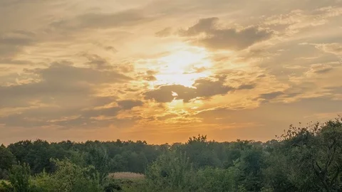 Sunset over a green fields and trees. Smoky. Stock Footage 80131069