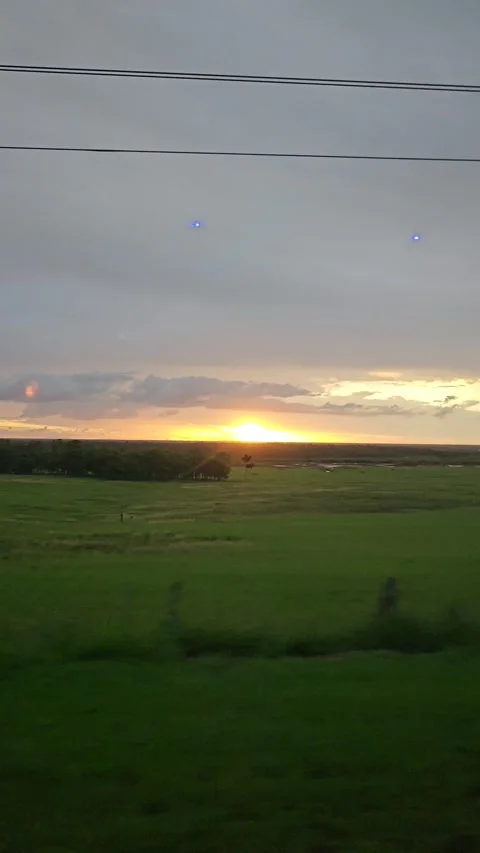 Sunset over Green Fields from a Bus, Hervey Bay, Queensland, Australia Stock Footage 299046524
