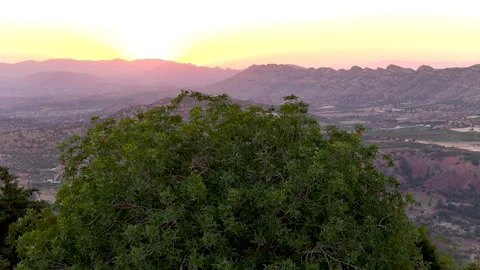 Sunset over green tree with mountain valley background Stock Footage 316233423