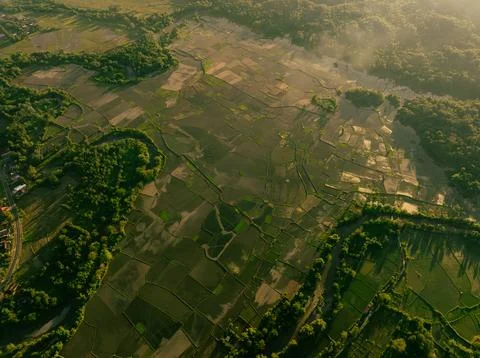 Sunset Over Highland Rice Fields - Tropical Agriculture Stock Photos