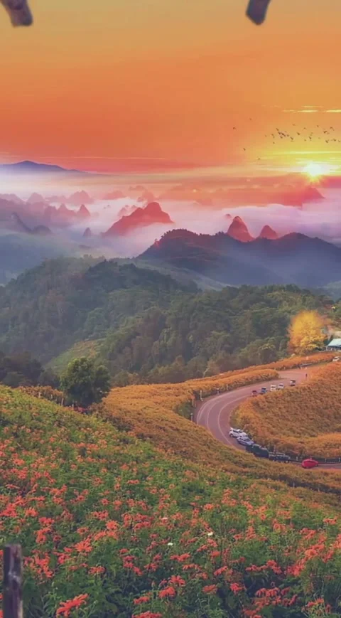 Sunset Over the Hills – A Dreamy Landscape Stock Footage 303983392