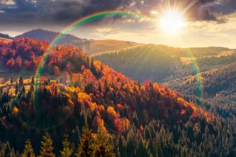 Sunset over hillside of mountain range with mixed forest and alpine meadow .. Stock Photos