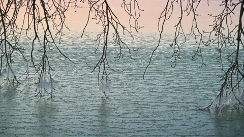 Sunset Over Icy Lake with Overhanging Frozen Branches Video stock 326321409