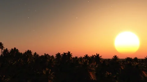 Sunset over jungle Stock Footage 96065134