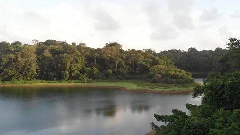 Sunset over jungle trees 스톡 동영상 123659339