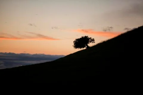 Sunset over Kohala Mountain cinder cone Stock Photos