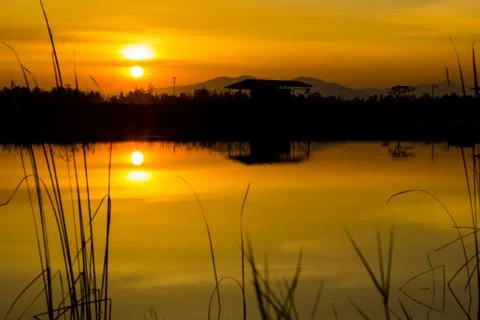 Sunset over lagoon Stock Photos