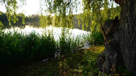 Sunset over the Lake - 4K Timelapse Stock Footage 22983977