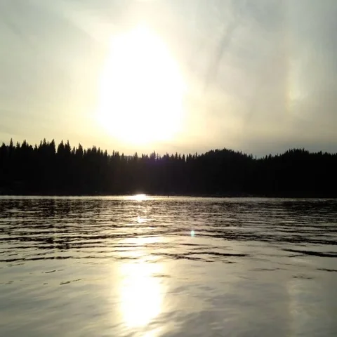 Sunset Over Lake and Forest Background Stock Footage 69692691