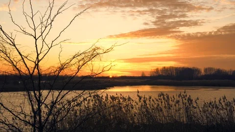 Sunset over lake and forest 4K video Stock Footage 100304366