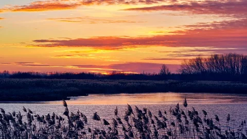 Sunset over the lake and forest, 4K video time lapse Stock Footage 100304388