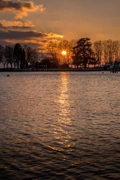 Sunset over lake with backgrounds of trees and clouds. Lausanne, Switzerland. Stock Photos