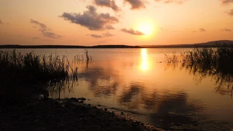Sunset over the lake. Bird flying above the lake. Stock Footage 115397980