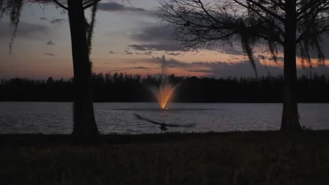 Sunset over lake. Bird taking flight over the tranquil lake. Stock Footage 233300401