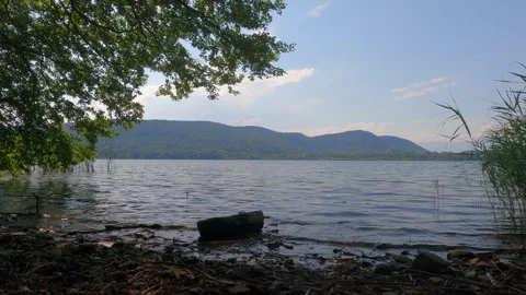 Sunset over the lake with ducks Stock Footage 240255092