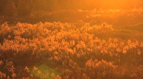 Sunset over lake Stock Footage 973988